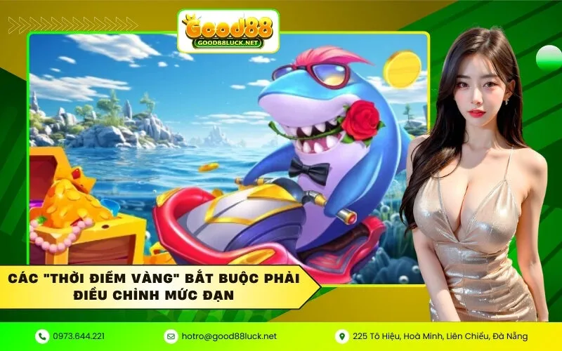 Các thời điểm vàng bắt buộc phải điều chỉnh mức đạn