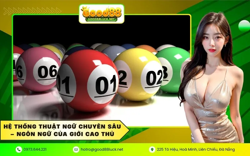 Hệ thống thuật ngữ chuyên sâu – Ngôn ngữ của giới cao thủ