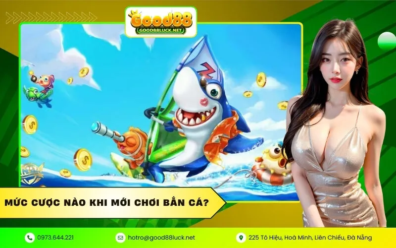 Mức Cược Nào Khi Mới Chơi Bắn Cá