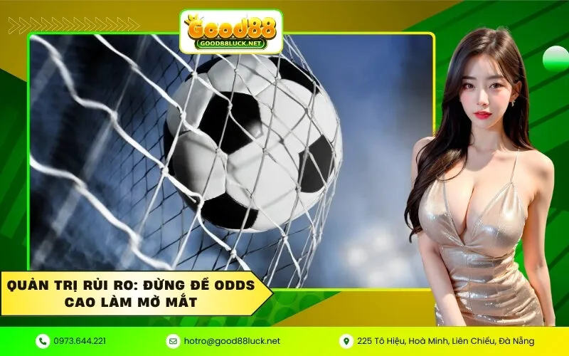 Quản trị rủi ro Đừng để Odds cao làm mờ mắt