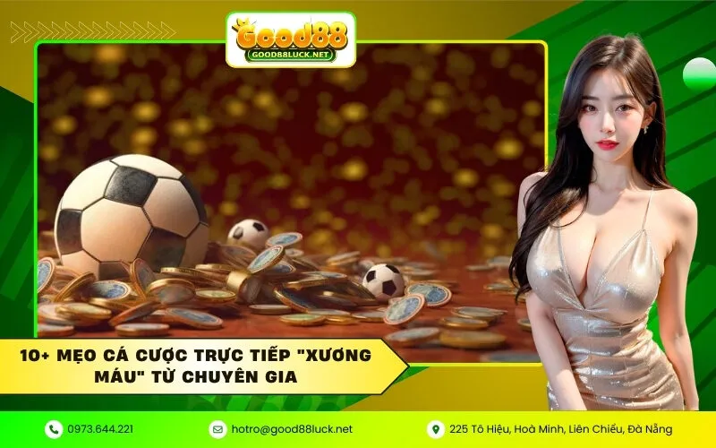 10+ Mẹo cá cược trực tiếp xương máu từ chuyên gia