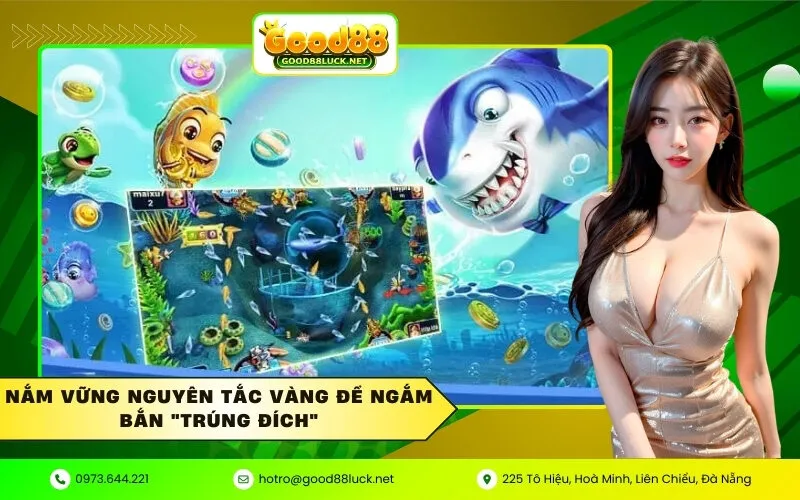 Nắm vững nguyên tắc vàng để ngắm bắn trúng đích