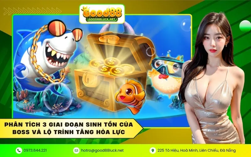 Phân tích 3 giai đoạn sinh tồn của Boss và lộ trình tăng hỏa lực