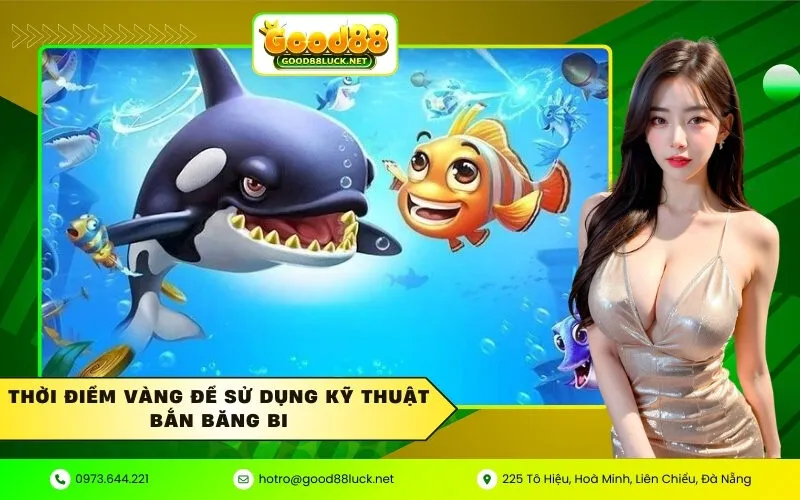 Thời điểm vàng để sử dụng kỹ thuật bắn băng bi