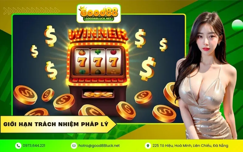 Giới hạn trách nhiệm pháp lý