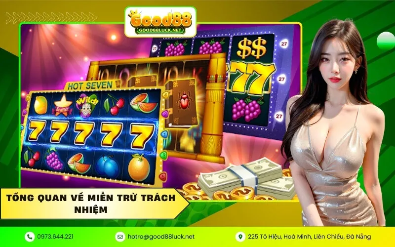 Tổng quan về Miễn trừ trách nhiệm